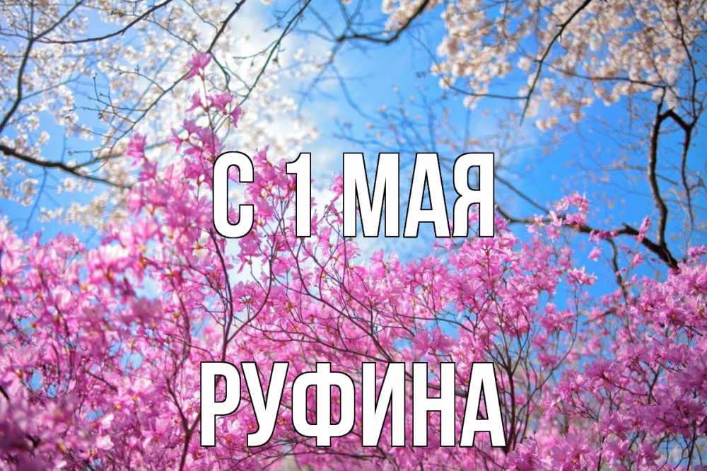 Открытка на каждый день с именем, Руфина С 1 мая С 1 мая Прикольная открытка с пожеланием онлайн скачать бесплатно 