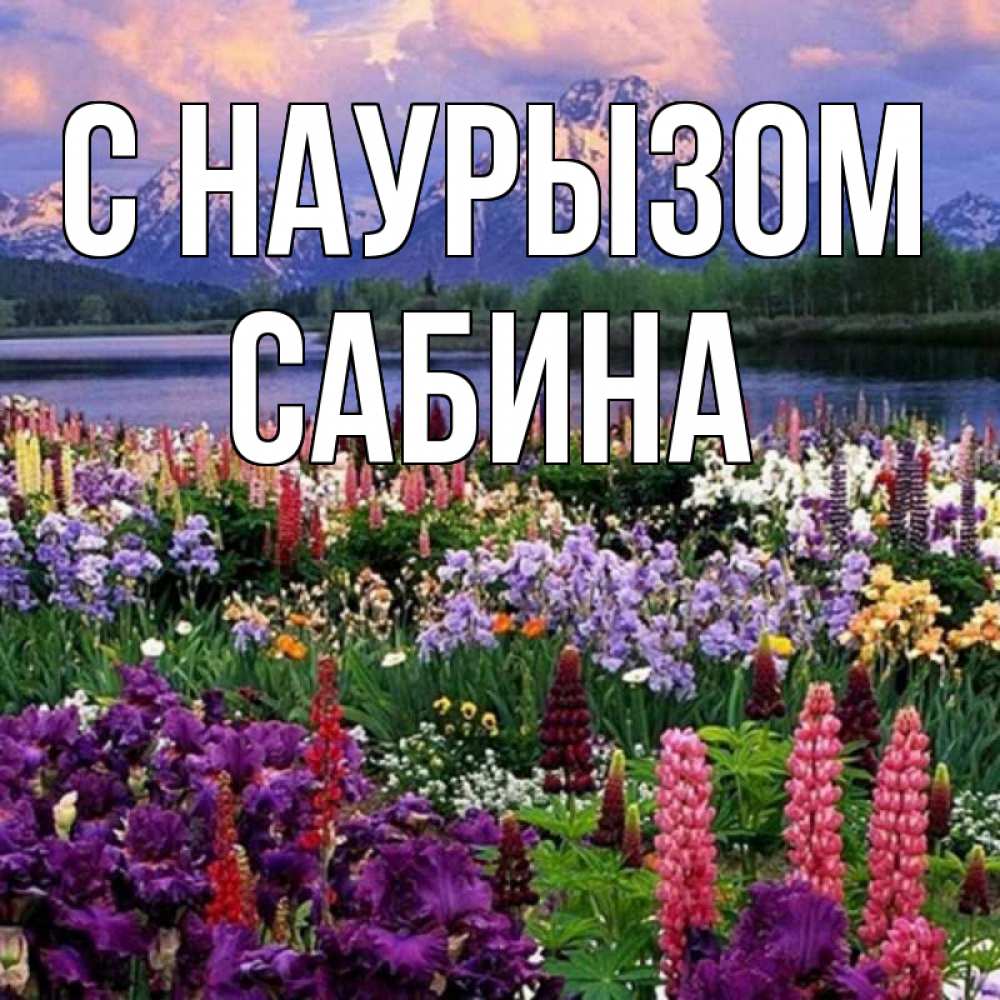 Открытка на каждый день с именем, Сабина С наурызом праздник весны наурыз Прикольная открытка с пожеланием онлайн скачать бесплатно 