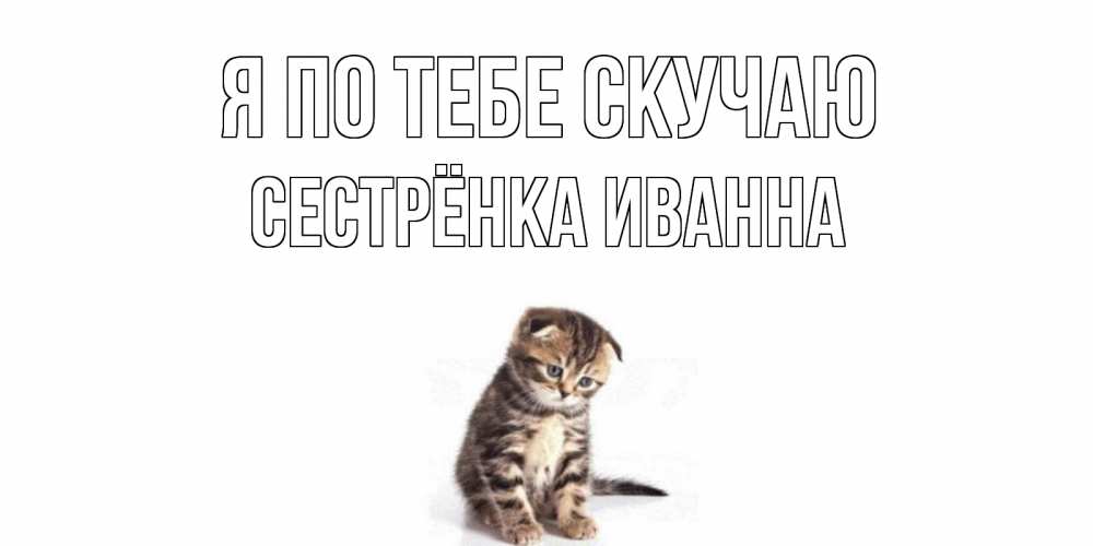 Открытка на каждый день с именем, Сестрёнка-Иванна Я по тебе скучаю кот Прикольная открытка с пожеланием онлайн скачать бесплатно 