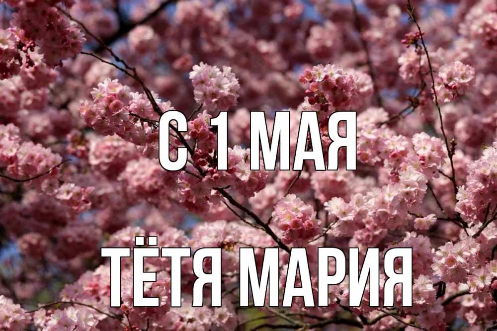 Открытка на каждый день с именем, Тётя-Мария С 1 мая С 1 мая Прикольная открытка с пожеланием онлайн скачать бесплатно 