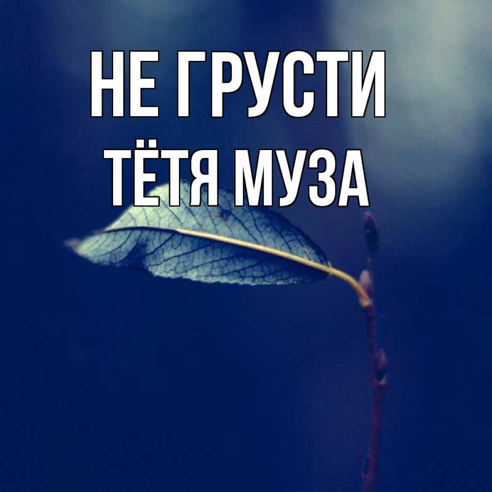 Открытка на каждый день с именем, Тётя-Муза Не грусти растение Прикольная открытка с пожеланием онлайн скачать бесплатно 