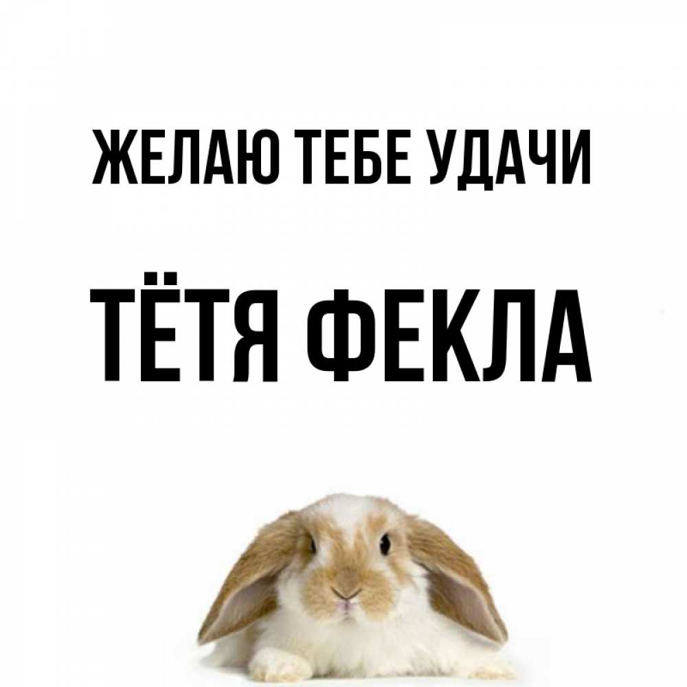 Открытка на каждый день с именем, Тётя-Фекла Желаю тебе удачи открытки с произвольным текстом который можно вставить в открытку и создать ее самостоятельно бесплатно онлайн Прикольная открытка с пожеланием онлайн скачать бесплатно 