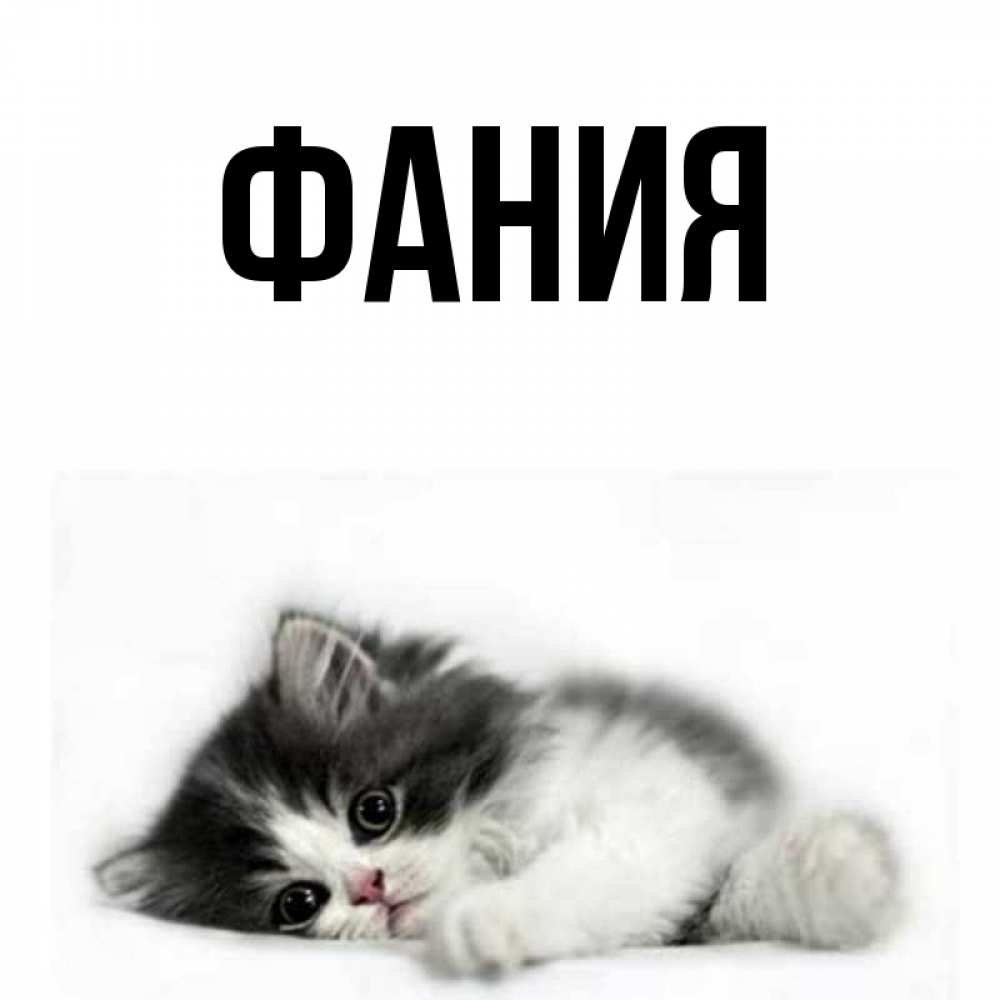 Картинки для андрея