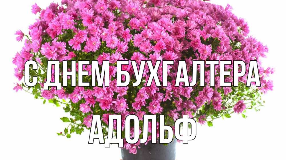 Открытка на каждый день с именем, Адольф С днем бухгалтера с днем бухгалтера Прикольная открытка с пожеланием онлайн скачать бесплатно 