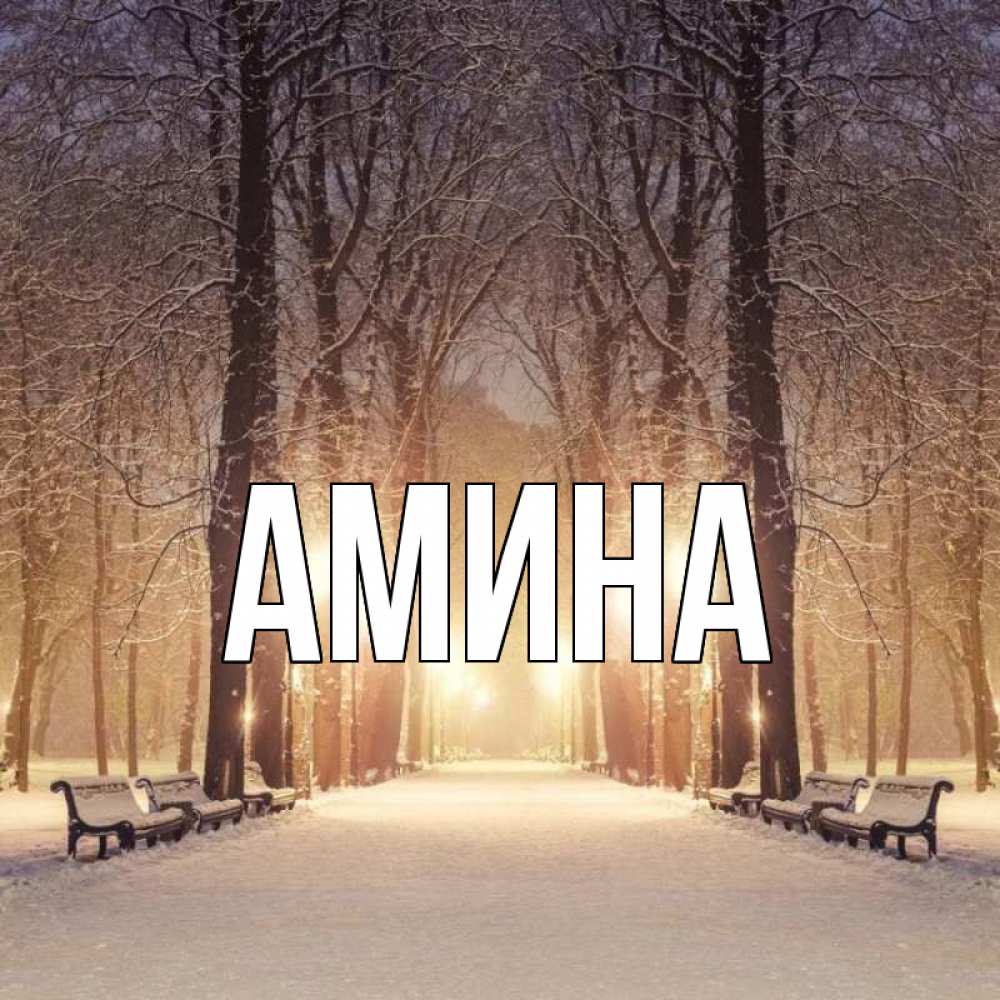Открытка на каждый день с именем, Амина Главная зима, парк, фонарь, лес Прикольная открытка с пожеланием онлайн скачать бесплатно 