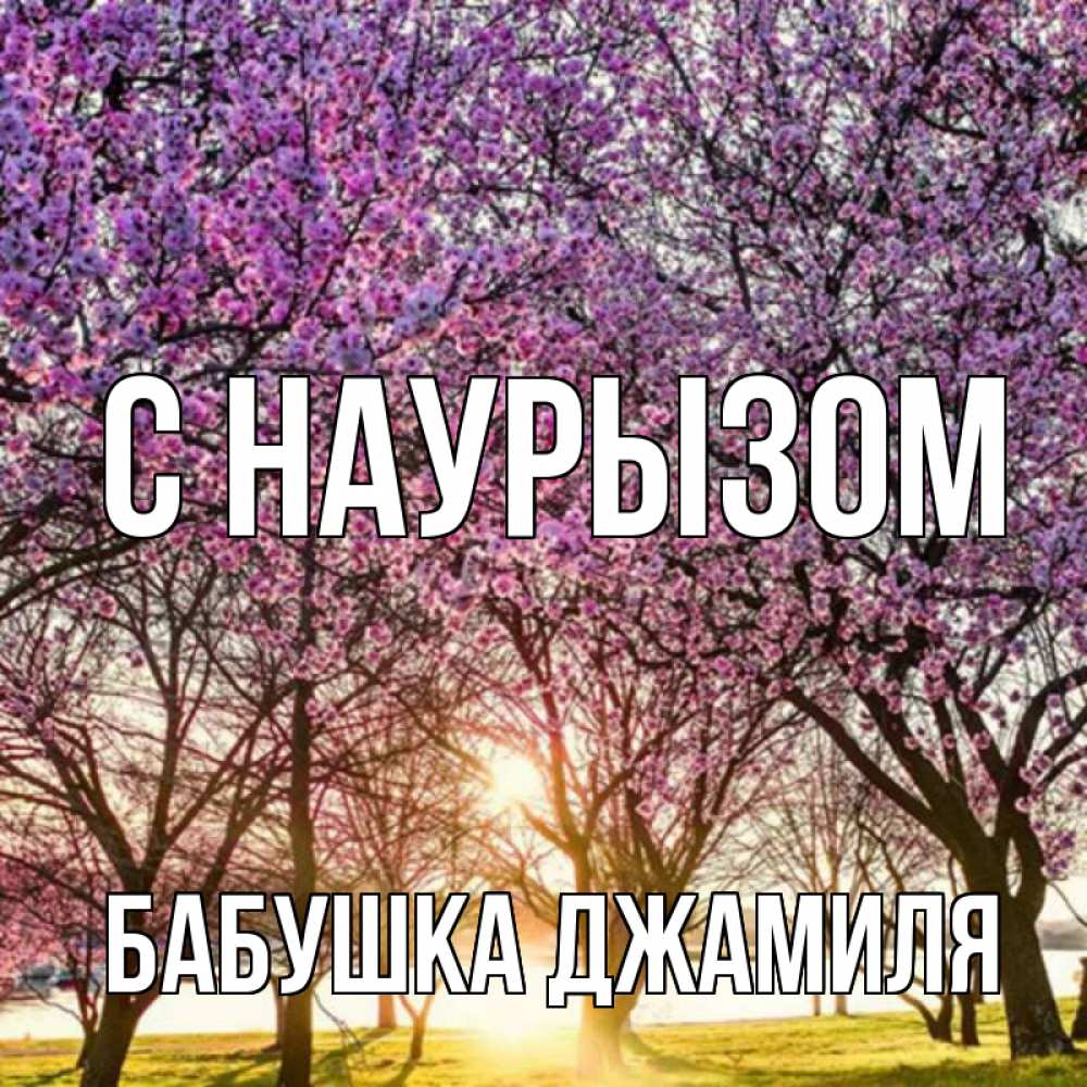 Открытка на каждый день с именем, Бабушка-Джамиля С наурызом праздник весны наурыз Прикольная открытка с пожеланием онлайн скачать бесплатно 