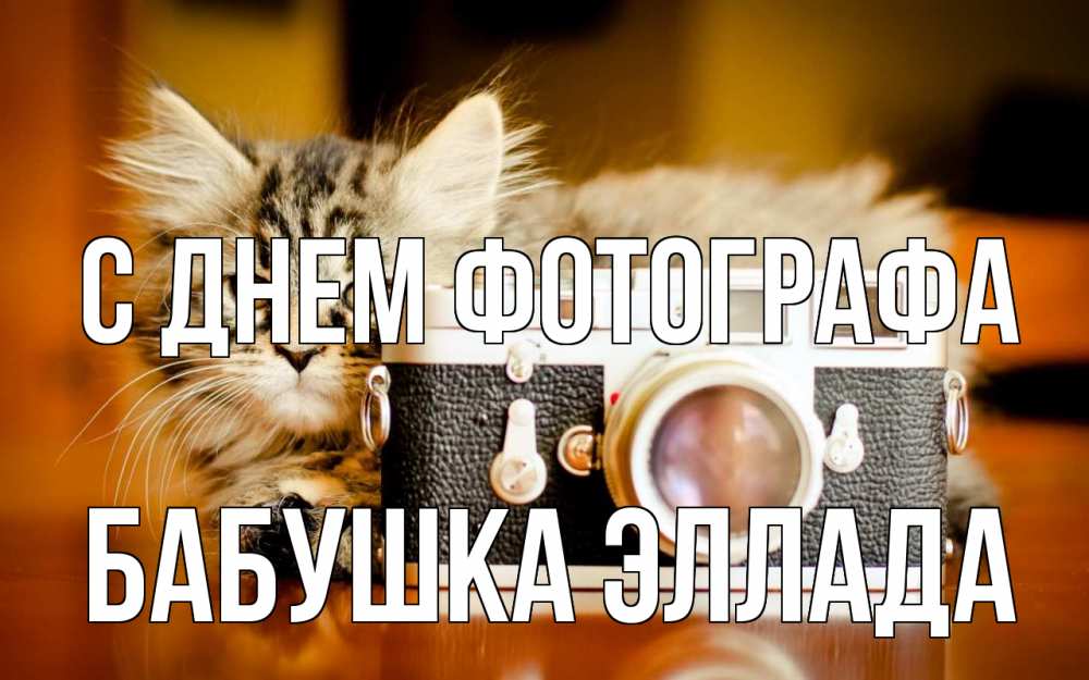 Открытка на каждый день с именем, Бабушка-Эллада С днем фотографа с днем фотографа Прикольная открытка с пожеланием онлайн скачать бесплатно 