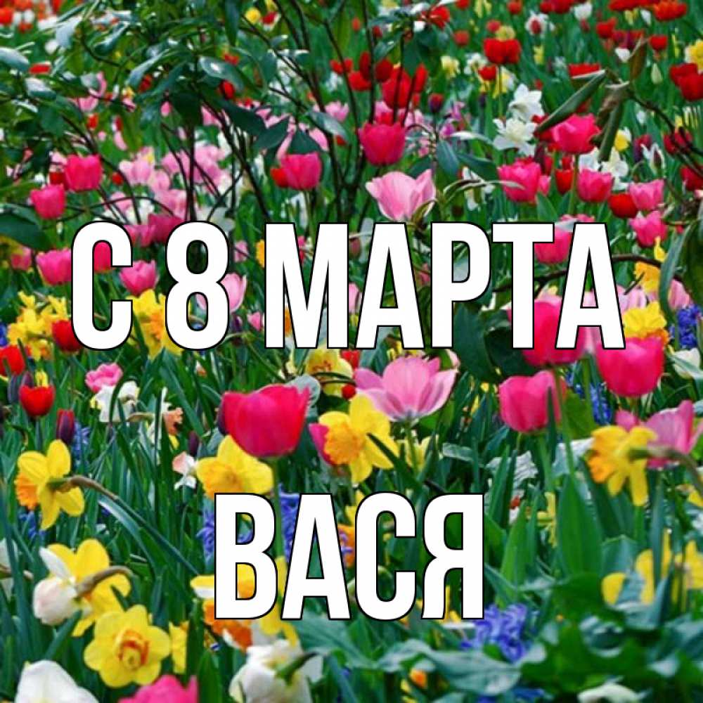 Открытка на каждый день с именем, Вася С 8 МАРТА с международным женским днем поздравления для женщины Прикольная открытка с пожеланием онлайн скачать бесплатно 