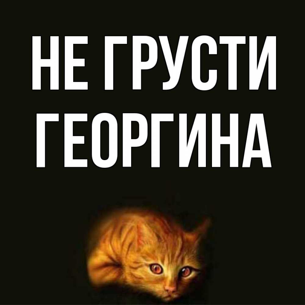 Открытка на каждый день с именем, Георгина Не грусти лежащий кот в темноте Прикольная открытка с пожеланием онлайн скачать бесплатно 