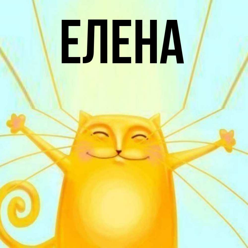 Открытка на каждый день с именем, Елена Главная обнимашки усатые Прикольная открытка с пожеланием онлайн скачать бесплатно 