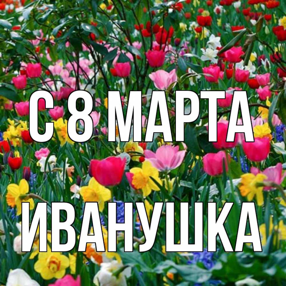 Открытка на каждый день с именем, Иванушка С 8 марта с международным женским днем поздравления для женщины Прикольная открытка с пожеланием онлайн скачать бесплатно 