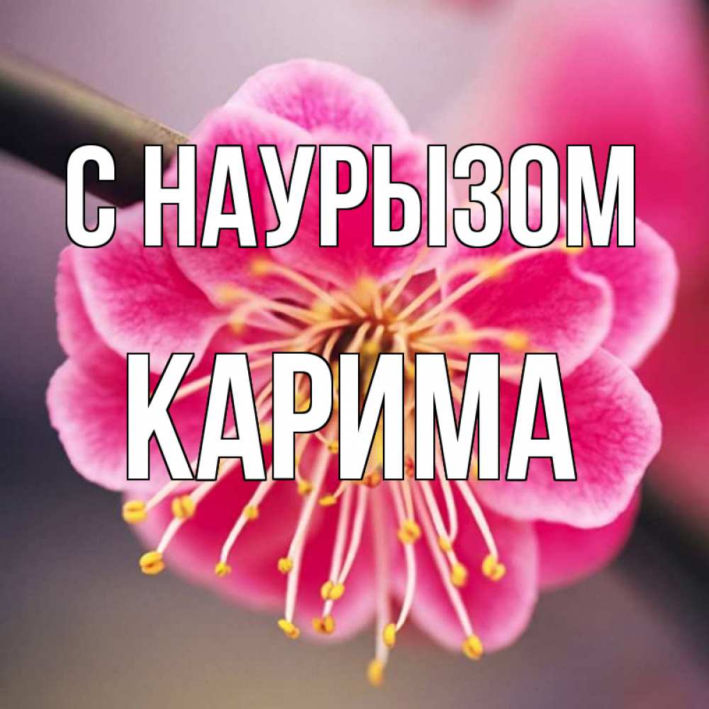 Открытка на каждый день с именем, Карима С наурызом цветы Прикольная открытка с пожеланием онлайн скачать бесплатно 