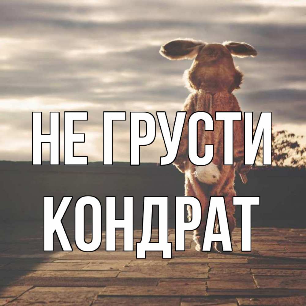 Открытка на каждый день с именем, Кондрат Не грусти со спины Прикольная открытка с пожеланием онлайн скачать бесплатно 