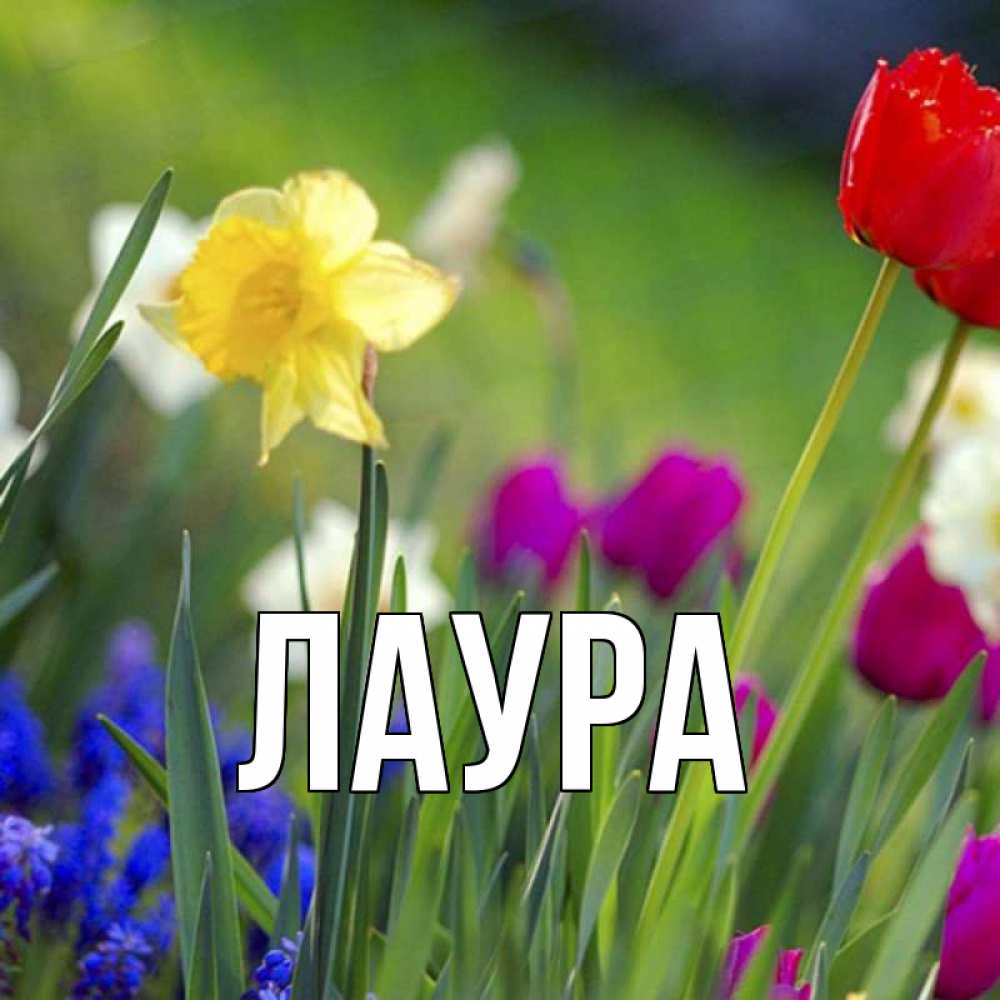 Открытка на каждый день с именем, Лаура Главная международный женский день 3 Прикольная открытка с пожеланием онлайн скачать бесплатно 