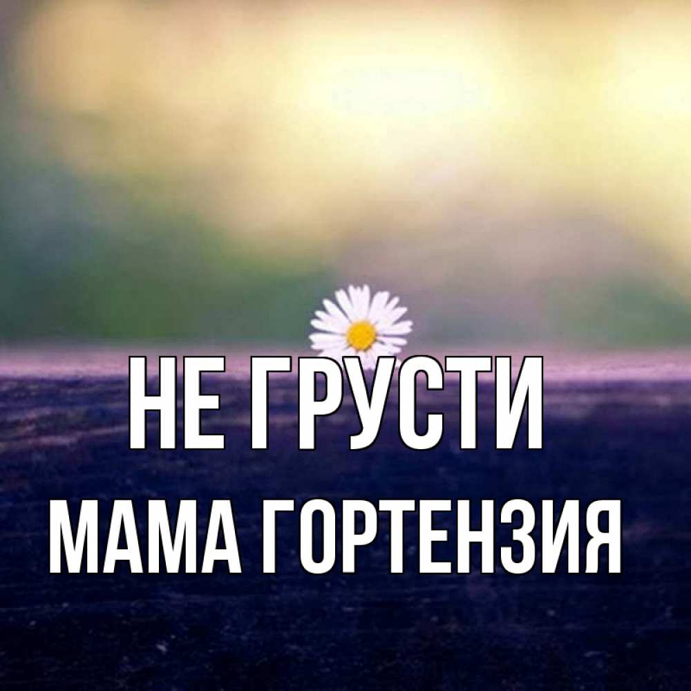 Открытка на каждый день с именем, Мама-Гортензия Не грусти красота Прикольная открытка с пожеланием онлайн скачать бесплатно 