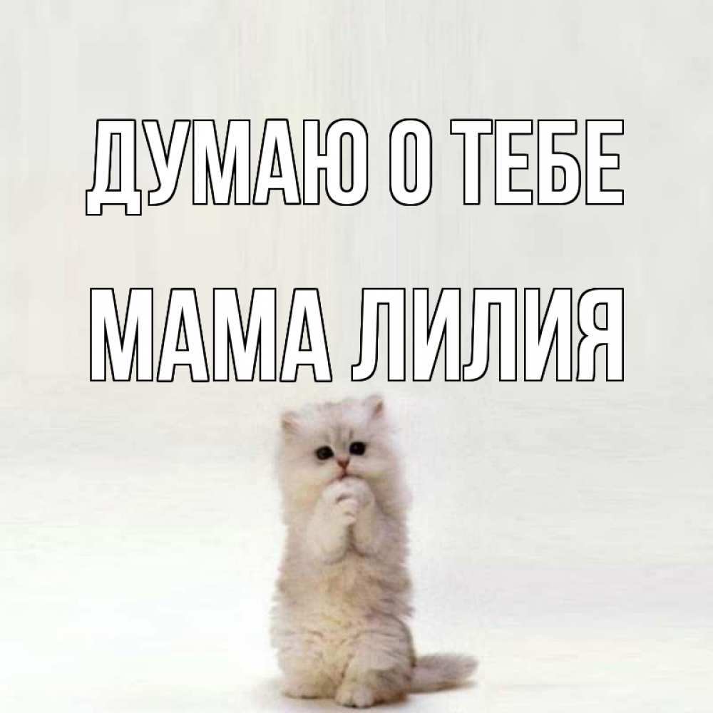 Открытка на каждый день с именем, Мама-Лилия Думаю о тебе кот стоит на задних лапах Прикольная открытка с пожеланием онлайн скачать бесплатно 