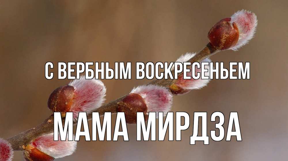Открытка на каждый день с именем, Мама-Мирдза С вербным воскресеньем верба Прикольная открытка с пожеланием онлайн скачать бесплатно 