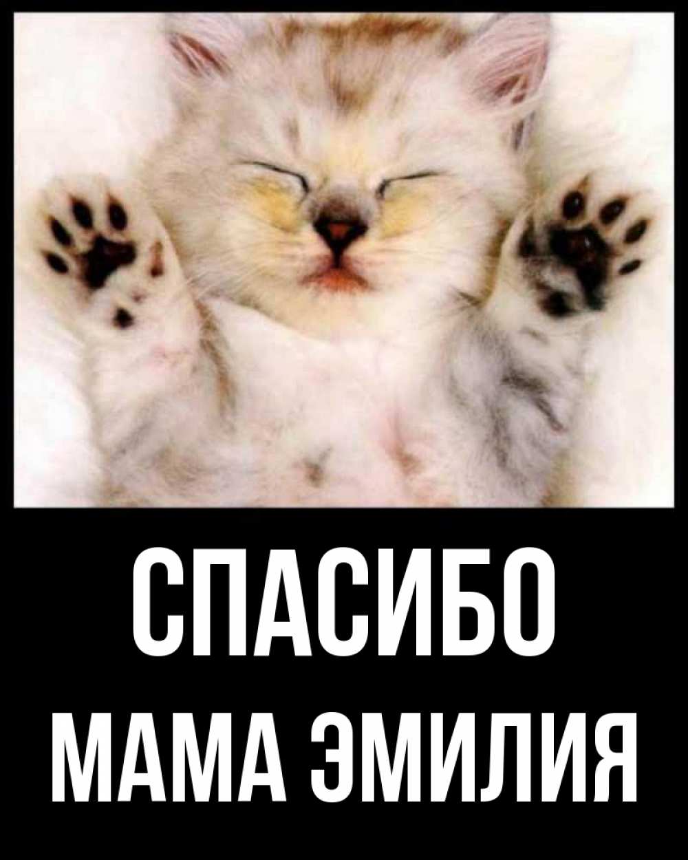 Открытка на каждый день с именем, Мама-Эмилия Спасибо маленький котенок Прикольная открытка с пожеланием онлайн скачать бесплатно 