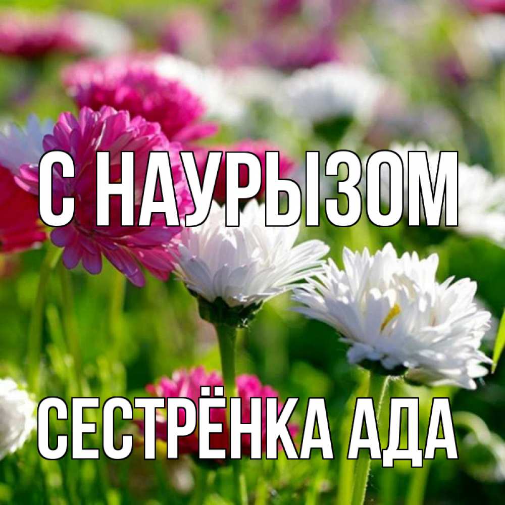 Открытка на каждый день с именем, Сестрёнка-Ада С наурызом праздник весны наурыз красота Прикольная открытка с пожеланием онлайн скачать бесплатно 