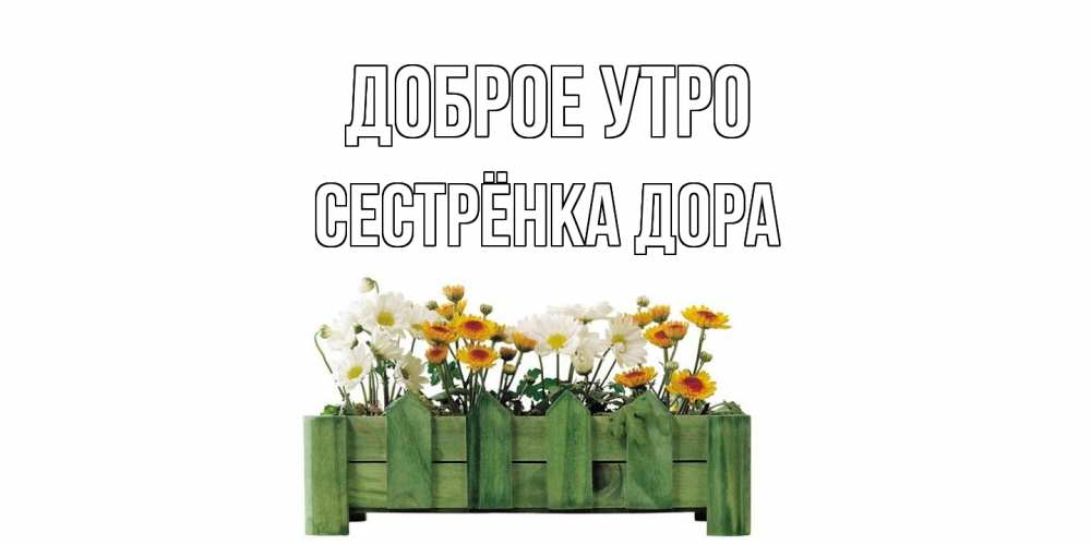 Открытка на каждый день с именем, Сестрёнка-Дора Доброе утро цветы Прикольная открытка с пожеланием онлайн скачать бесплатно 