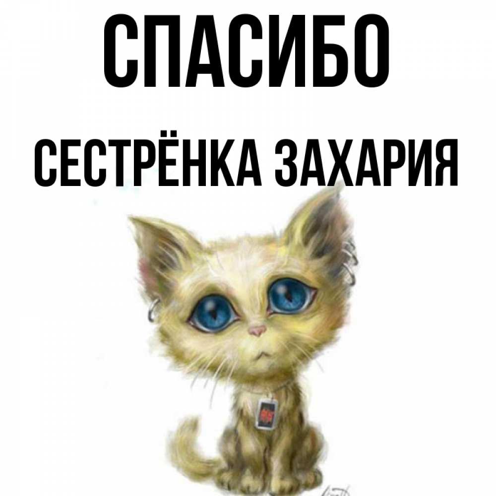 Открытка на каждый день с именем, Сестрёнка-Захария Спасибо рисованный кот благодарит вас Прикольная открытка с пожеланием онлайн скачать бесплатно 