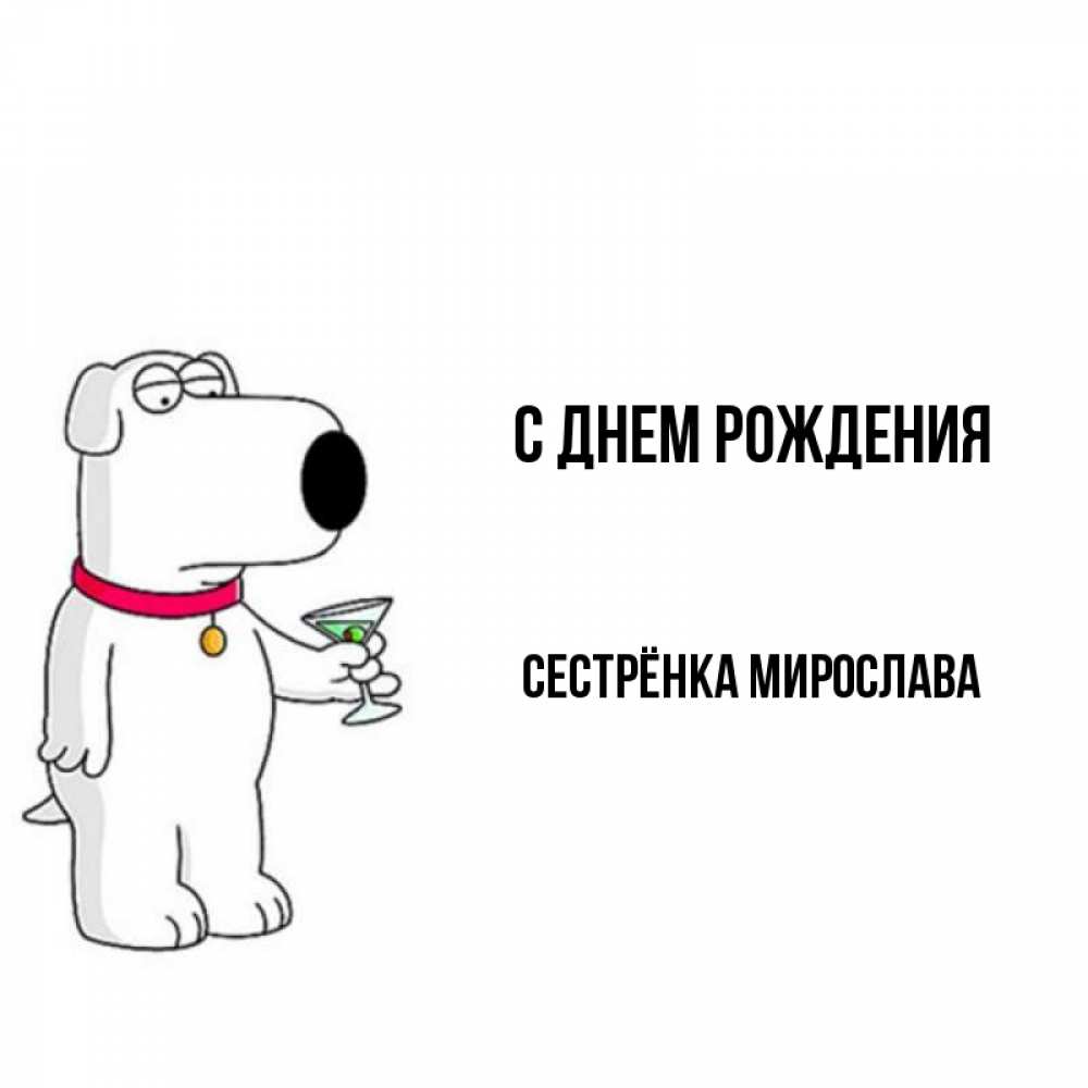 Открытка на каждый день с именем, Сестрёнка-Мирослава С днем рождения песик с оливками Прикольная открытка с пожеланием онлайн скачать бесплатно 