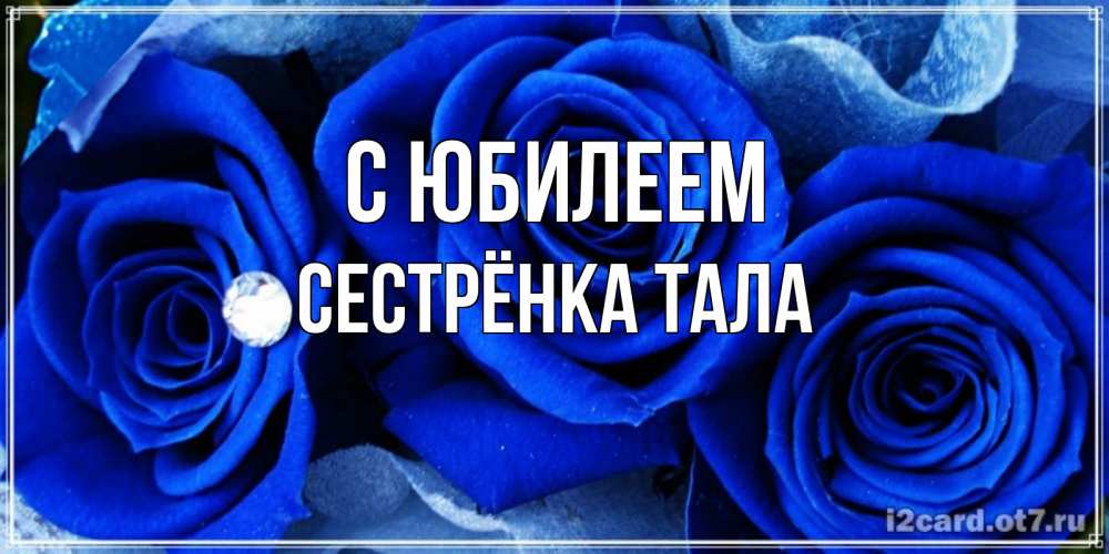 Открытка на каждый день с именем, Сестрёнка-Тала С юбилеем синие розы в росе Прикольная открытка с пожеланием онлайн скачать бесплатно 