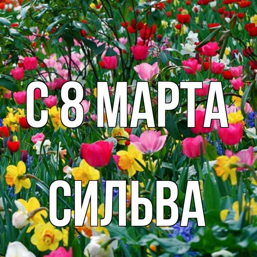 Открытка на каждый день с именем, Сильва С 8 МАРТА с международным женским днем поздравления для женщины Прикольная открытка с пожеланием онлайн скачать бесплатно 