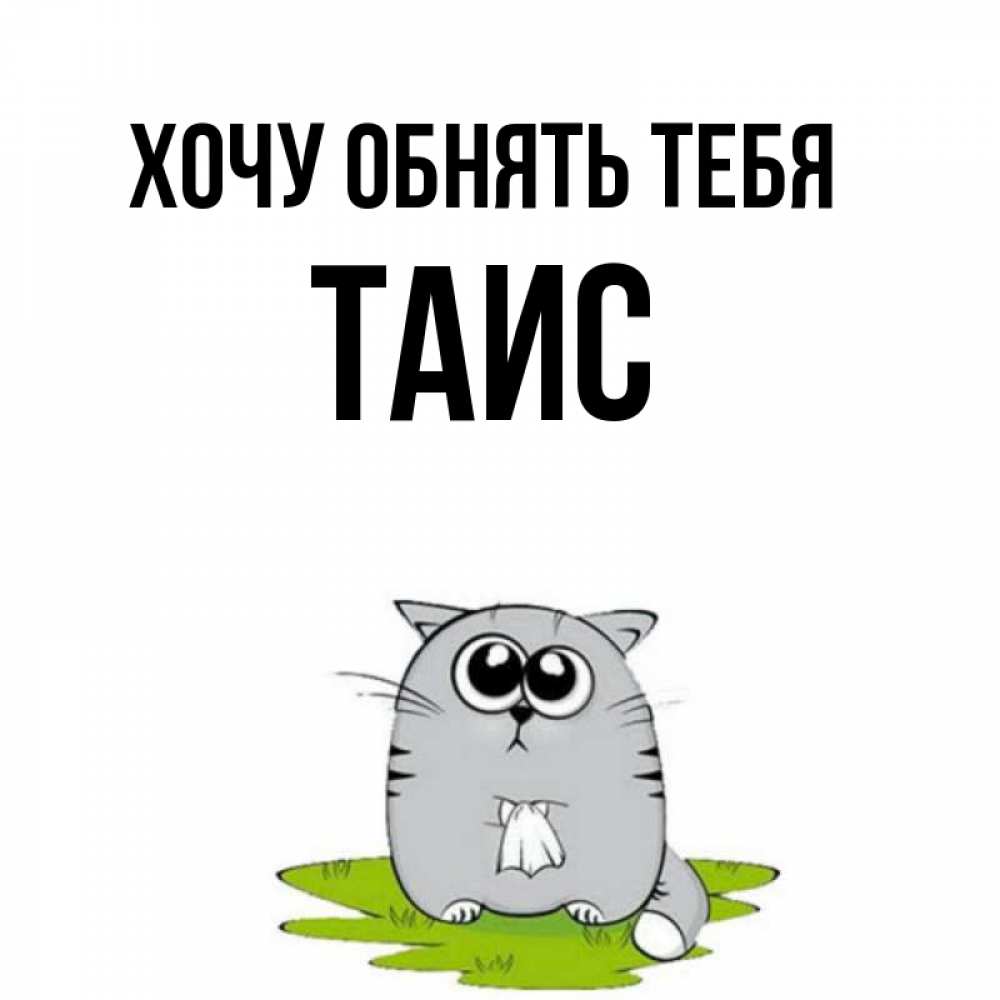 Открытка на каждый день с именем, Таис Хочу обнять тебя котик теребит платочек сидя на травке Прикольная открытка с пожеланием онлайн скачать бесплатно 