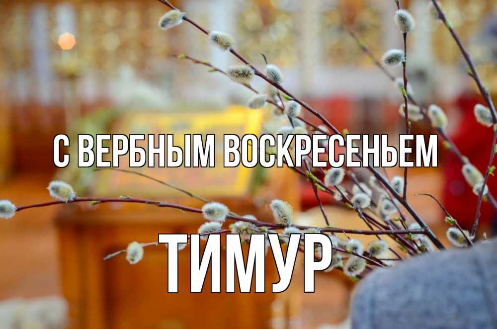 Открытка на каждый день с именем, Тимур С вербным воскресеньем верба Прикольная открытка с пожеланием онлайн скачать бесплатно 