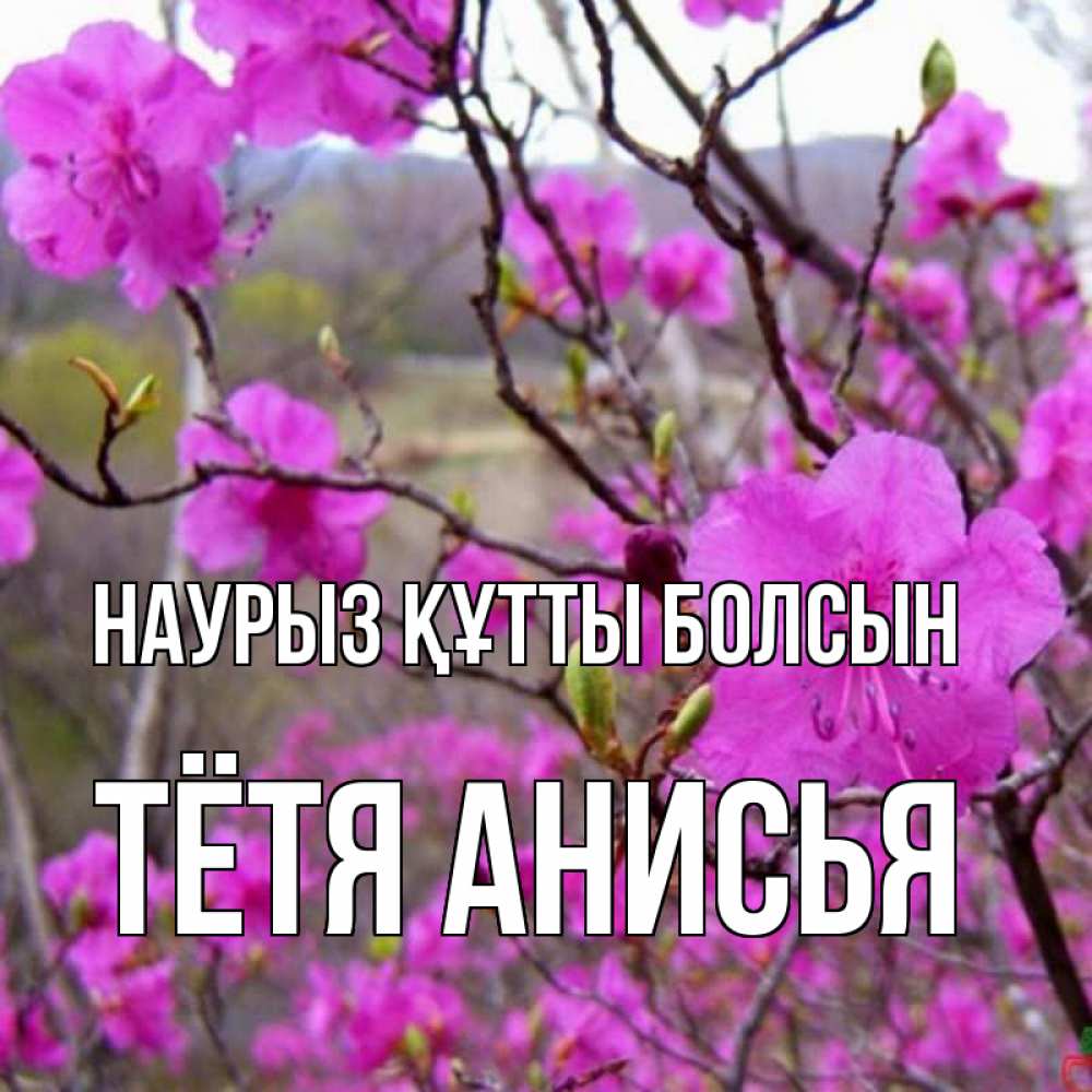 Открытка на каждый день с именем, Тётя-Анисья Наурыз құтты болсын наурыз мейрамы кутты болсын Прикольная открытка с пожеланием онлайн скачать бесплатно 