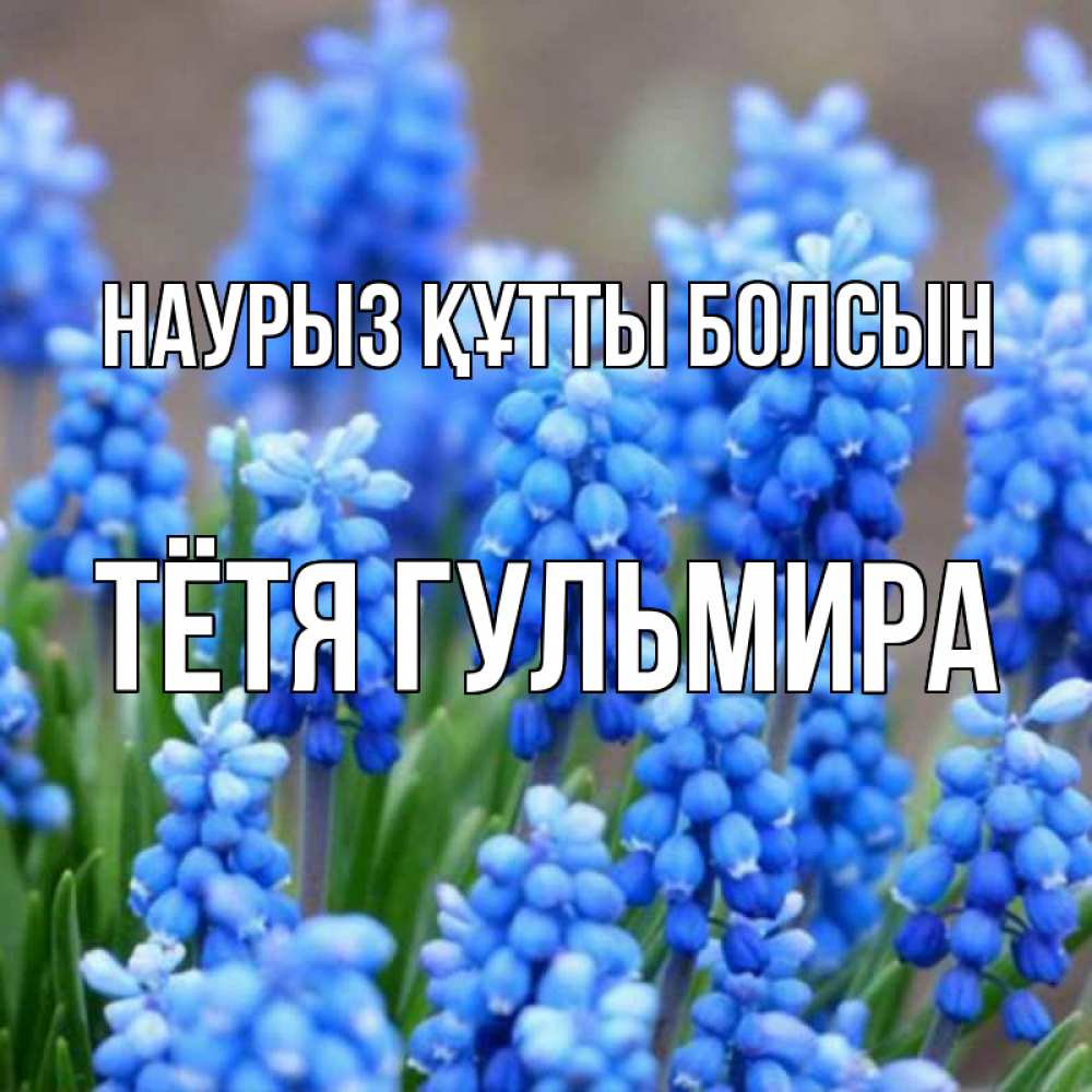 Открытка на каждый день с именем, Тётя-Гульмира Наурыз құтты болсын Поздравительная открытка для женщин с цветами на праздничную дату Прикольная открытка с пожеланием онлайн скачать бесплатно 