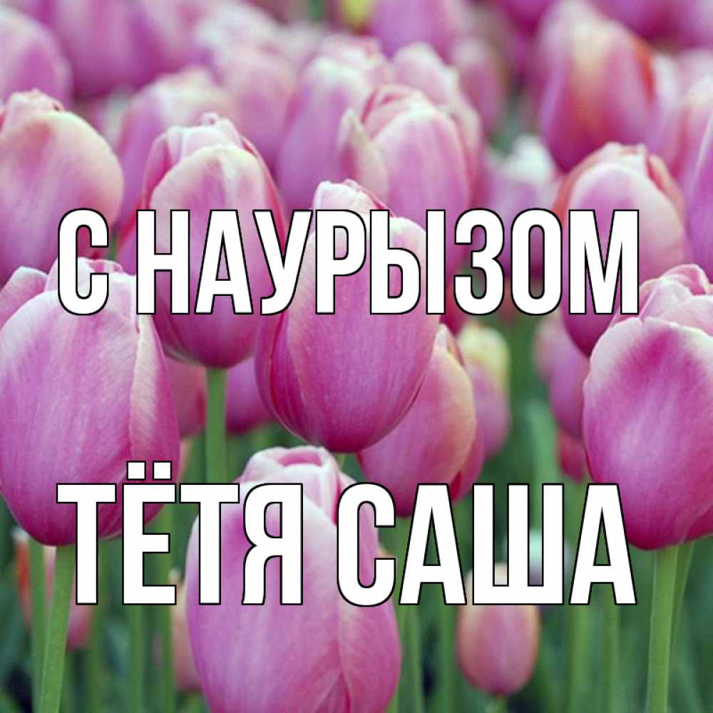 Открытка на каждый день с именем, Тётя-Саша С наурызом праздник весны наурыз 69 Прикольная открытка с пожеланием онлайн скачать бесплатно 