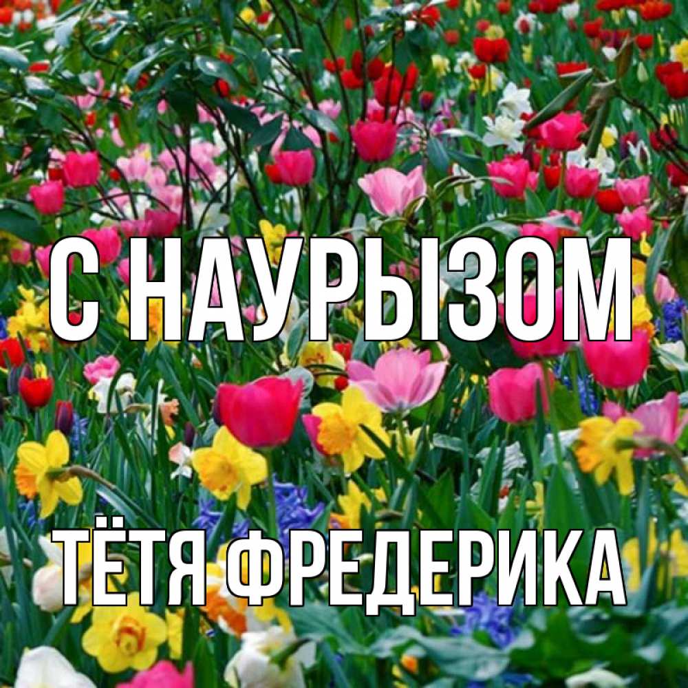 Открытка на каждый день с именем, Тётя-Фредерика С наурызом с наурызом праздником весны поздравления для женщины Прикольная открытка с пожеланием онлайн скачать бесплатно 