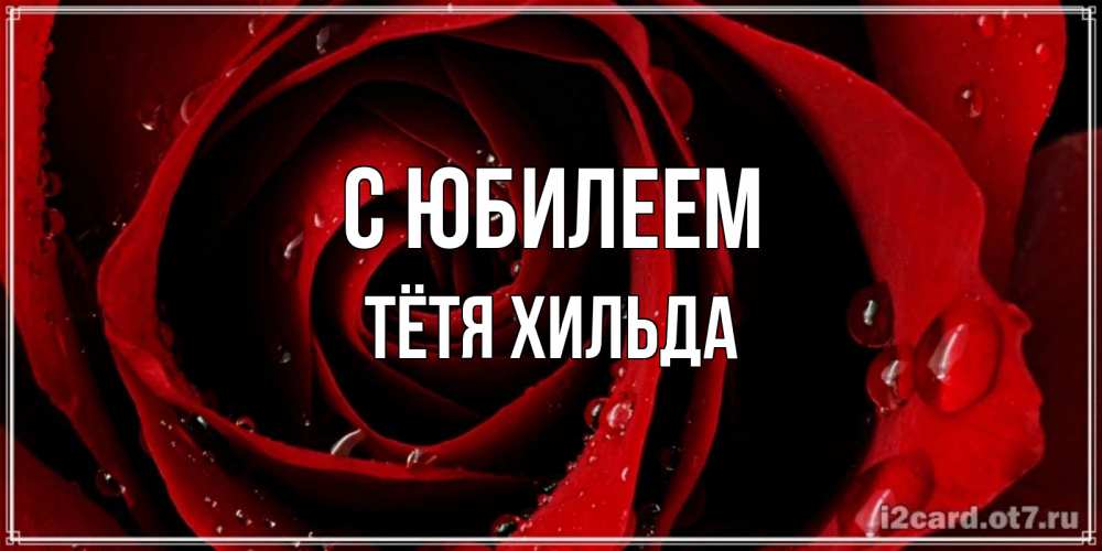 Открытка на каждый день с именем, Тётя-Хильда С юбилеем крупная бордовая роза Прикольная открытка с пожеланием онлайн скачать бесплатно 