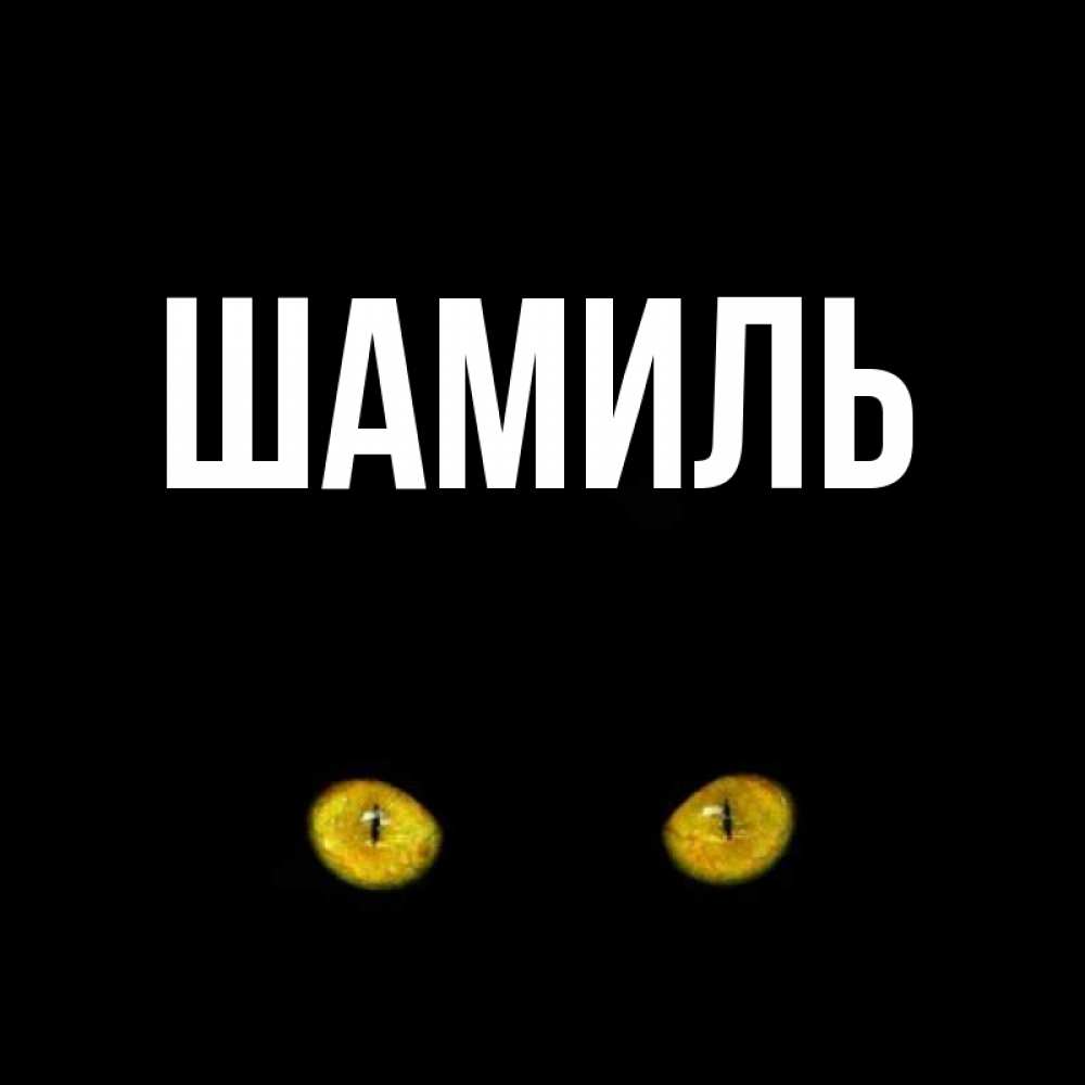 Открытка на каждый день с именем, Шамиль Главная сладких снов бесстрашный мой дружочек Прикольная открытка с пожеланием онлайн скачать бесплатно 