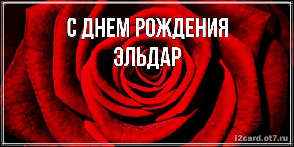 Открытка на каждый день с именем, Эльдар С днем рождения алая роза Прикольная открытка с пожеланием онлайн скачать бесплатно 