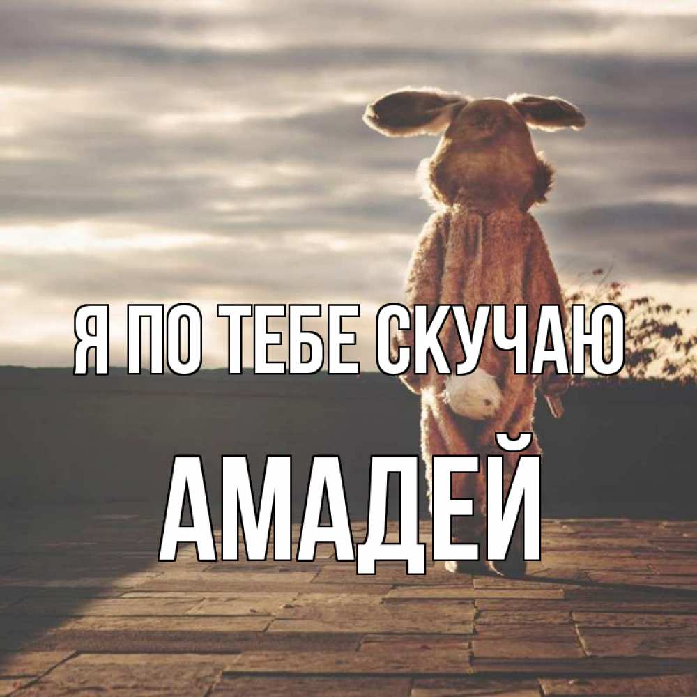 Открытка на каждый день с именем, Амадей Я по тебе скучаю даже в костюме зайца Прикольная открытка с пожеланием онлайн скачать бесплатно 