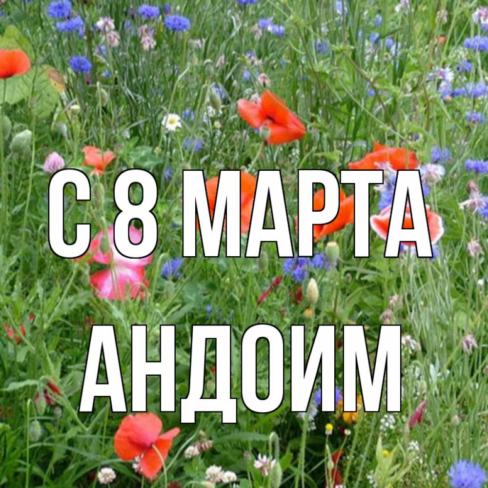 Открытка на каждый день с именем, Андоим С 8 МАРТА международный женский день 4 Прикольная открытка с пожеланием онлайн скачать бесплатно 