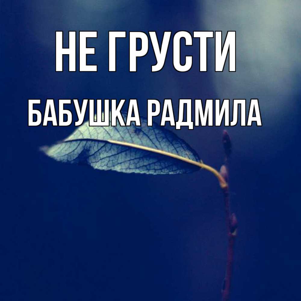 Открытка на каждый день с именем, Бабушка-Радмила Не грусти растение Прикольная открытка с пожеланием онлайн скачать бесплатно 