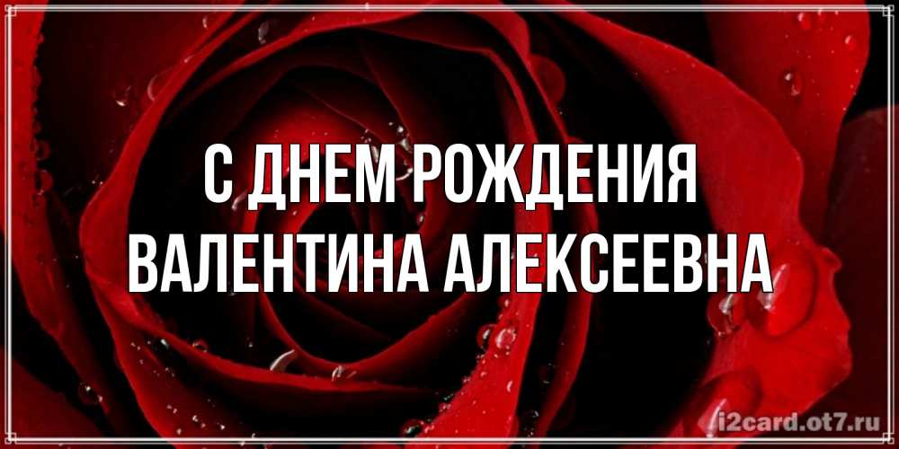 Открытка на каждый день с именем, Валентина-Алексеевна С днем рождения крупная бордовая роза Прикольная открытка с пожеланием онлайн скачать бесплатно 