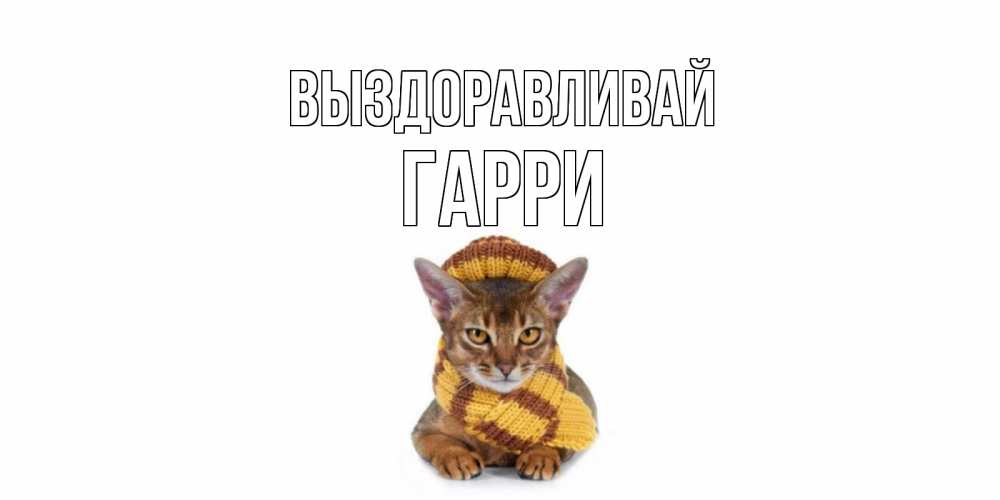Открытка на каждый день с именем, Гарри Выздоравливай родные не болейте Прикольная открытка с пожеланием онлайн скачать бесплатно 