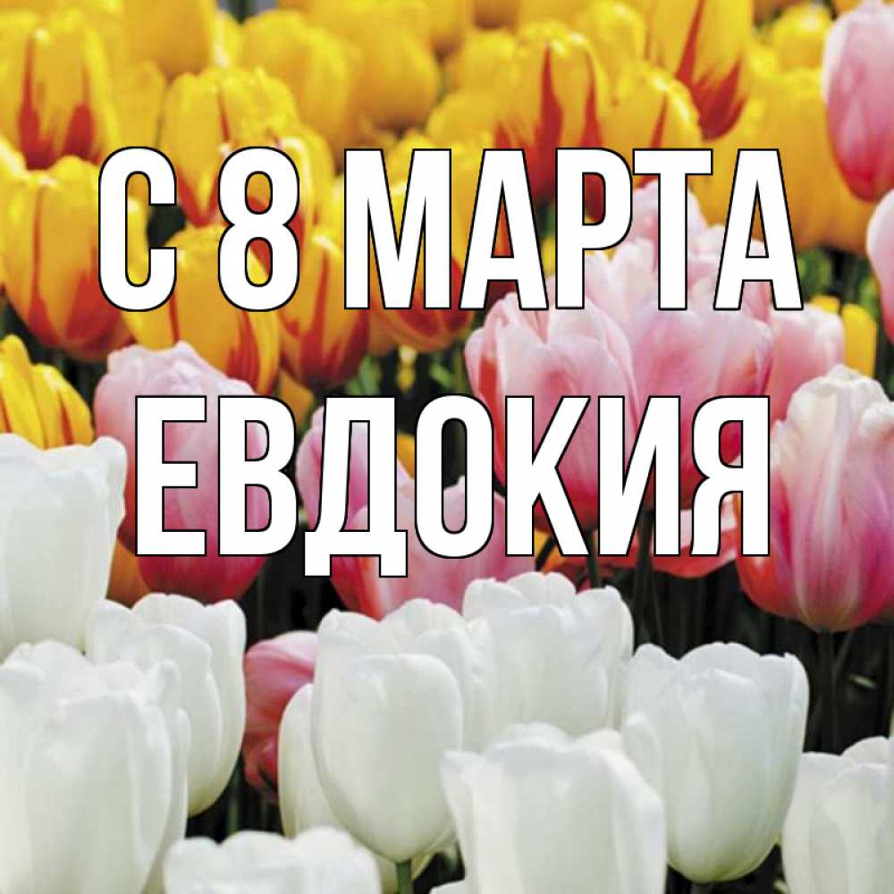 Открытка на каждый день с именем, Евдокия С 8 марта разноцветные цветы Прикольная открытка с пожеланием онлайн скачать бесплатно 