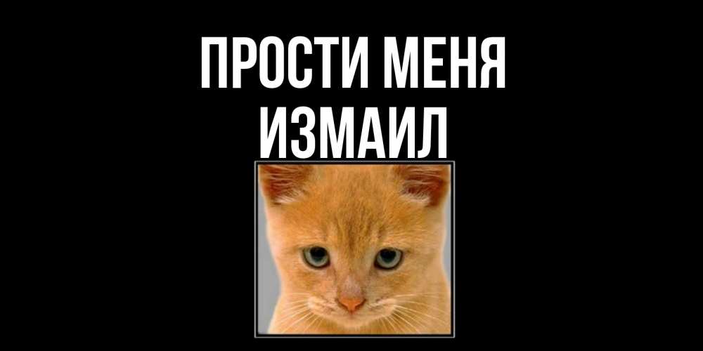 Открытка на каждый день с именем, Измаил Прости меня рыжий грустный кот просит прощения Прикольная открытка с пожеланием онлайн скачать бесплатно 