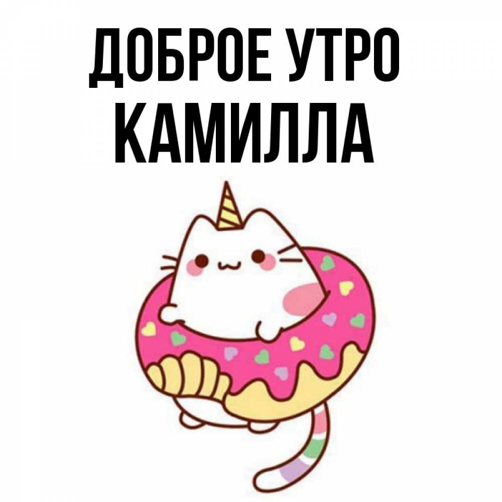 Открытка на каждый день с именем, Камилла Доброе утро кот в бублике Прикольная открытка с пожеланием онлайн скачать бесплатно 
