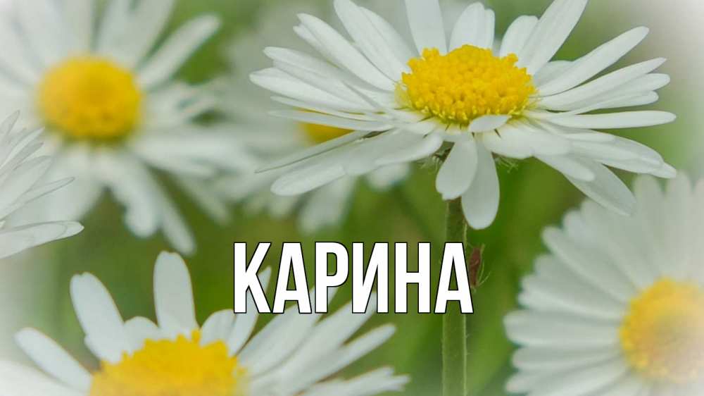 Открытка на каждый день с именем, Карина Главная с днем семьи  1 Прикольная открытка с пожеланием онлайн скачать бесплатно 
