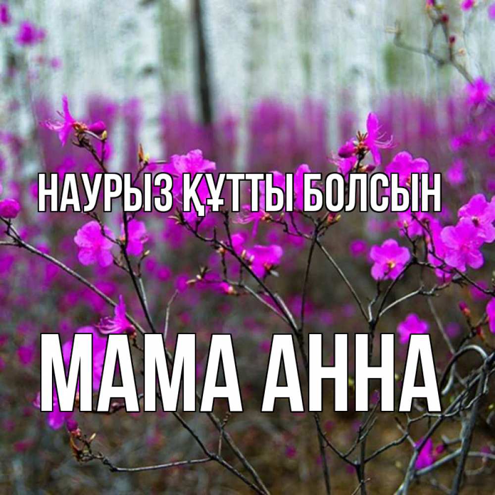 Открытка на каждый день с именем, Мама-Анна Наурыз құтты болсын дикие цветы Прикольная открытка с пожеланием онлайн скачать бесплатно 