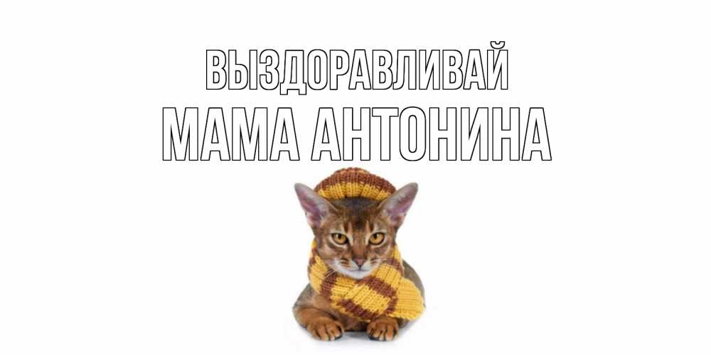 Открытка на каждый день с именем, Мама-Антонина Выздоравливай родные не болейте Прикольная открытка с пожеланием онлайн скачать бесплатно 