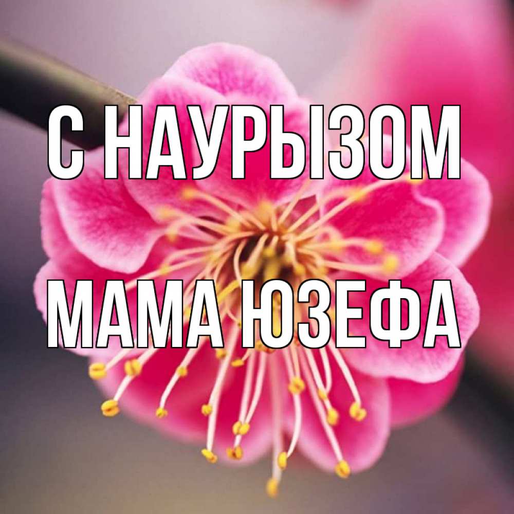 Открытка на каждый день с именем, Мама-Юзефа С наурызом цветы Прикольная открытка с пожеланием онлайн скачать бесплатно 