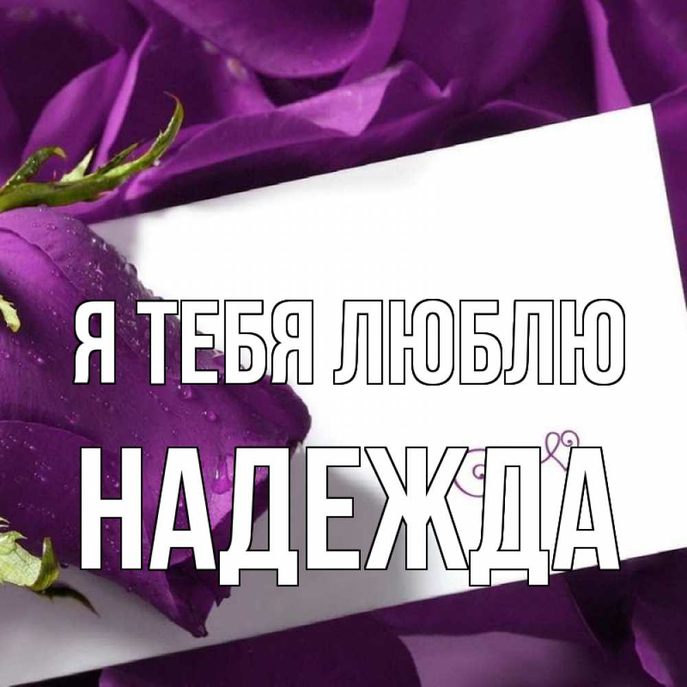 Открытка на каждый день с именем, Надежда Я тебя люблю роза Прикольная открытка с пожеланием онлайн скачать бесплатно 